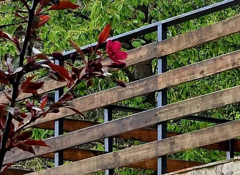 ホテル Provence Suceava