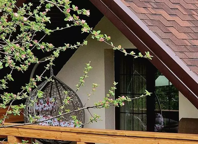 ホテル Provence Suceava