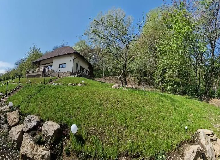 ホテル Provence Suceava