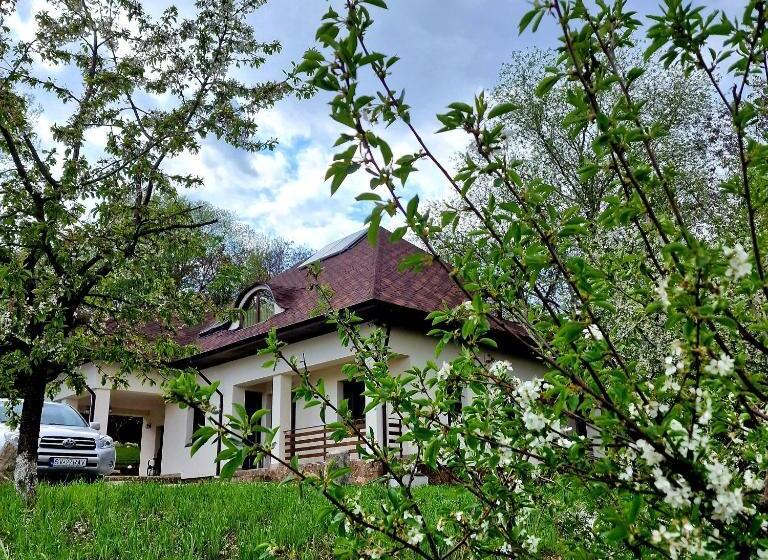 هتل Provence Suceava