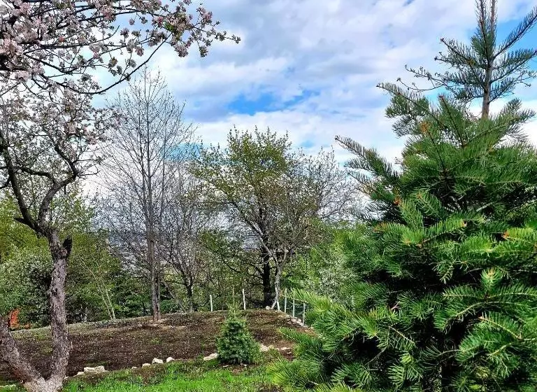 ホテル Provence Suceava