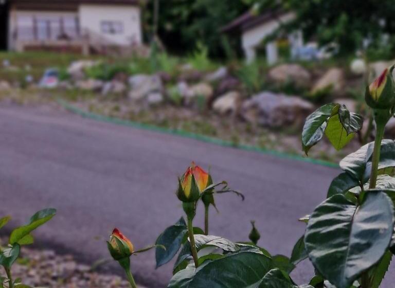 هتل Provence Suceava