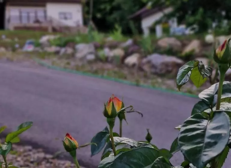 ホテル Provence Suceava