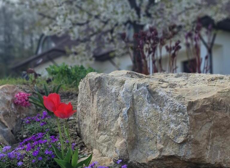 هتل Provence Suceava