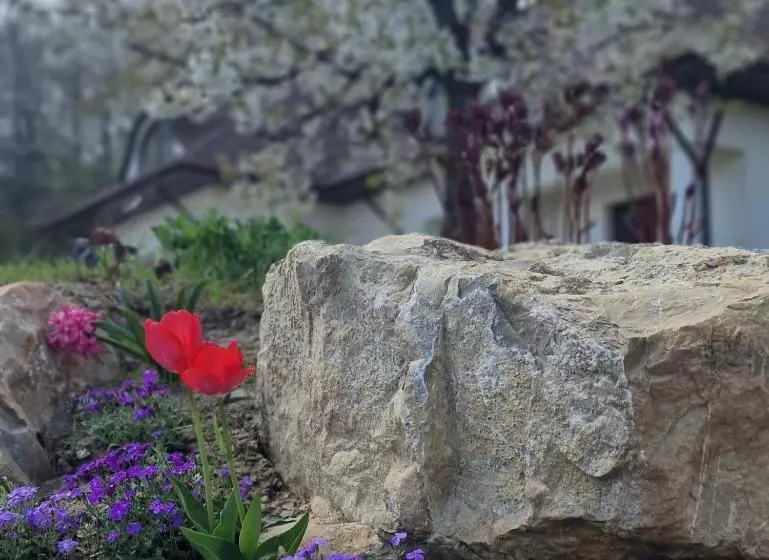 ホテル Provence Suceava