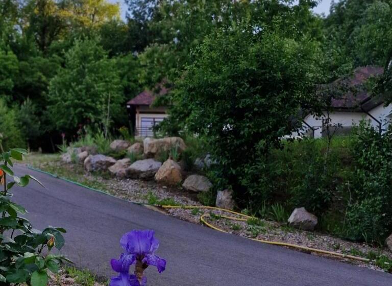 هتل Provence Suceava