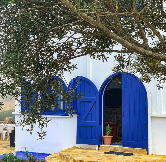 Pensione Dmina House