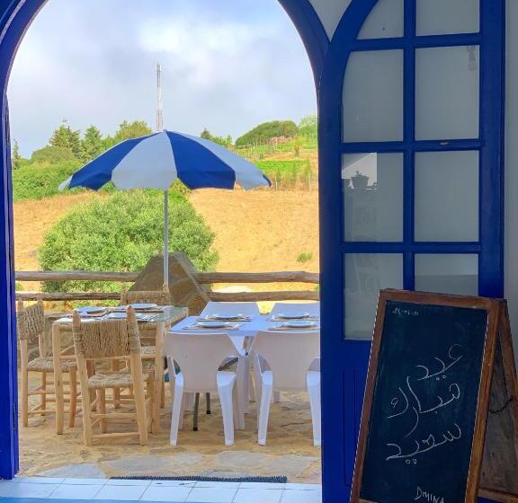 Pensione Dmina House