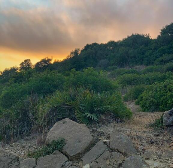 Pensione Dmina House