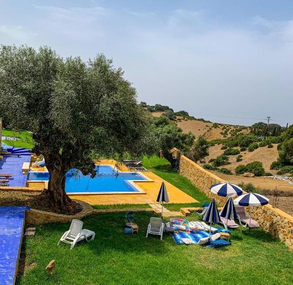 Pensione Dmina House