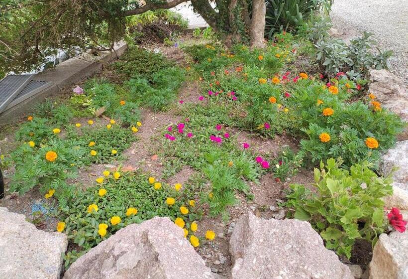 بنسيون Le Stanze Della Terrazza Sul Borgo