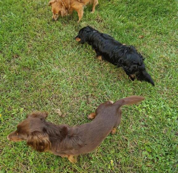 مبيت وإفطار Chambre D Hôtes