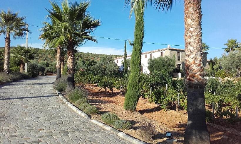 민박 La Bastide De L Oliveraie