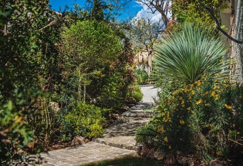 민박 La Bastide De L Oliveraie