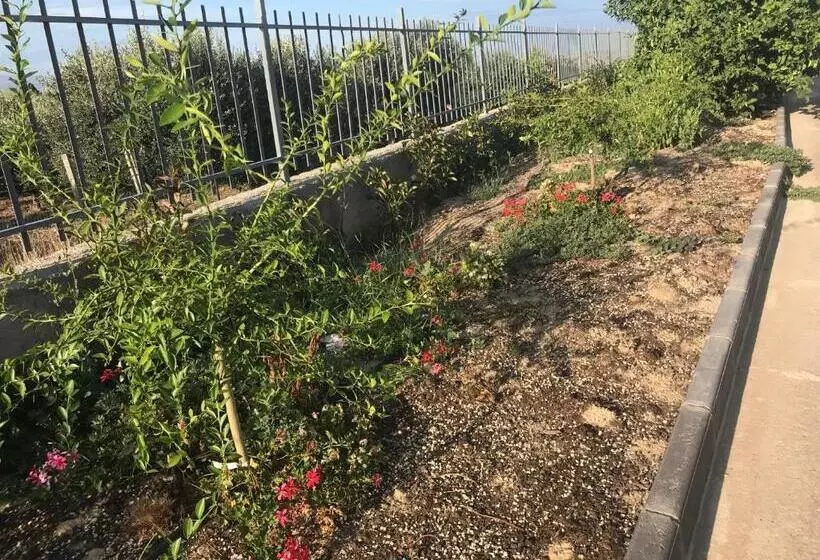 ベッドアンドブレックファースト Vecchio Frantoio