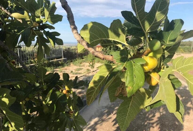 住宿加早餐 Vecchio Frantoio