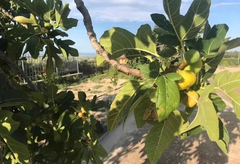 ベッドアンドブレックファースト Vecchio Frantoio