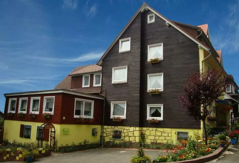 Hotelli Hecker Braunlage