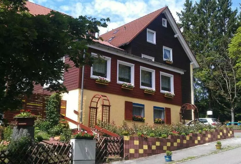 Hotelli Hecker Braunlage