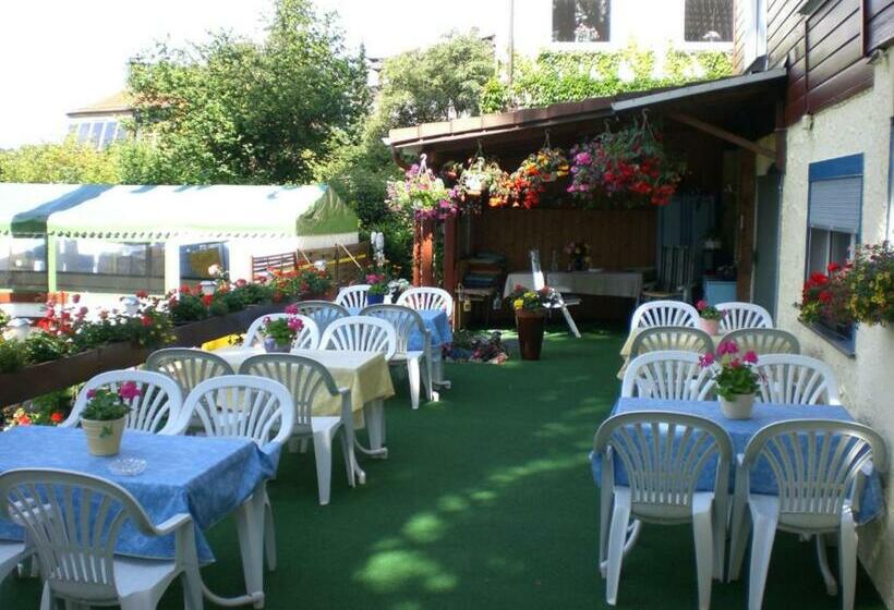 هتل Hecker Braunlage