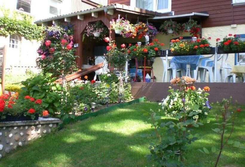 هتل Hecker Braunlage