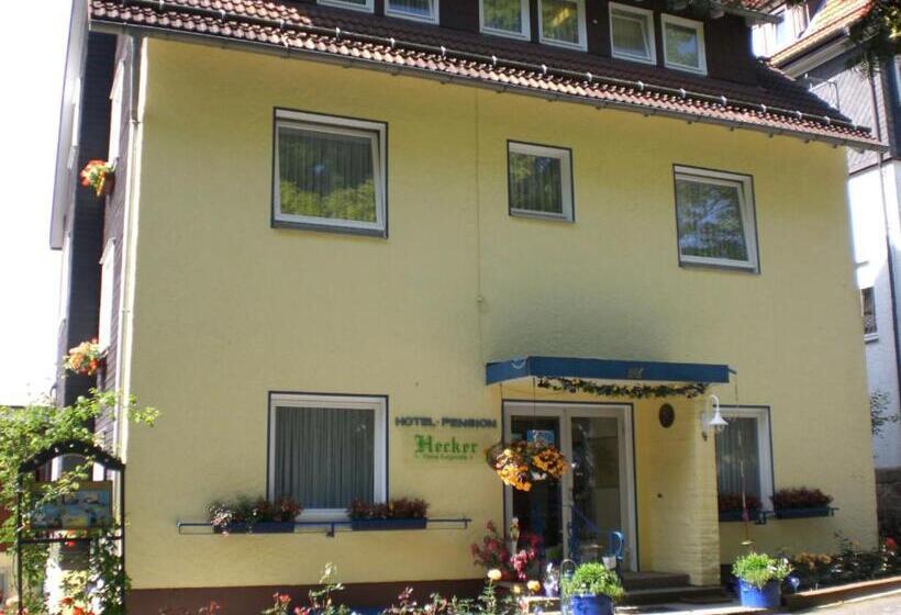 هتل Hecker Braunlage