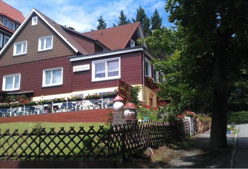 هتل Hecker Braunlage