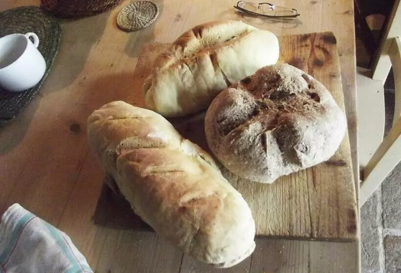 La Casa Degli Ulivi Art B&b