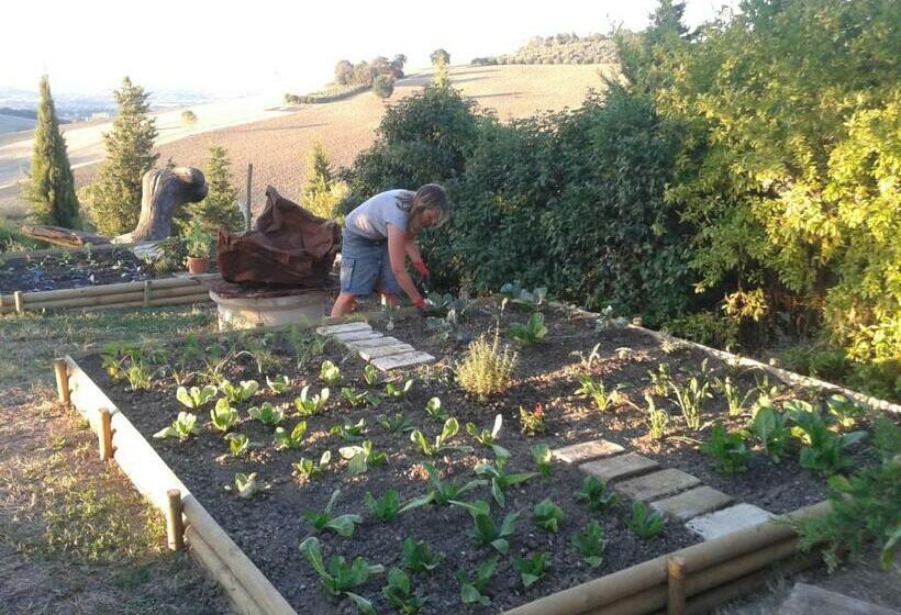 La Casa Degli Ulivi Art B&b