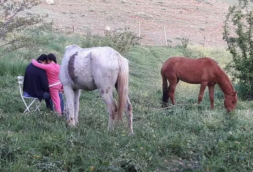 Majatalo Le Chêne D´azrou