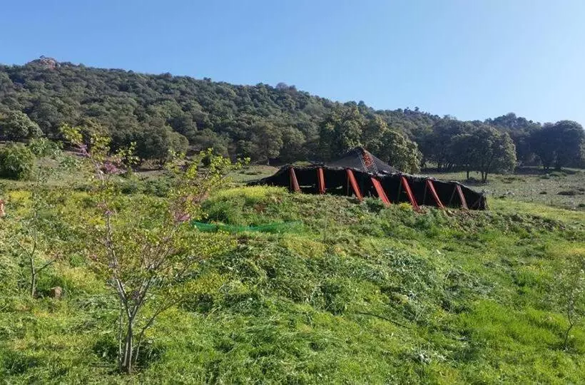 Majatalo Le Chêne D´azrou