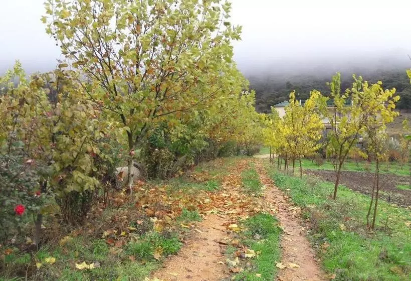 Majatalo Le Chêne D´azrou