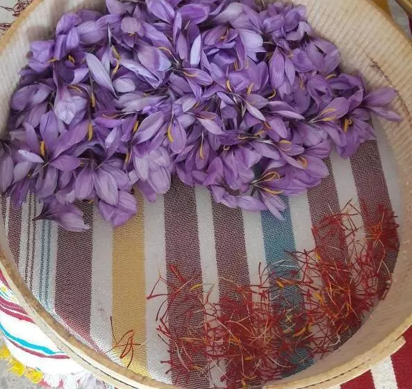 Majatalo Le Chêne D´azrou