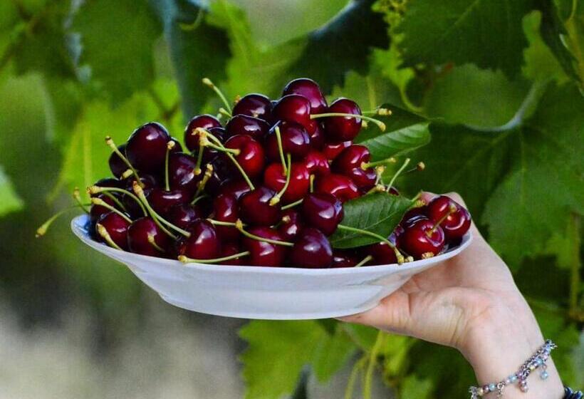 ペンション Le Chêne D´azrou