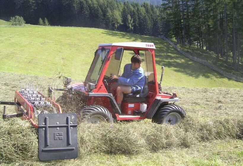 Общежитие Alpengasthaus Gleinserhof