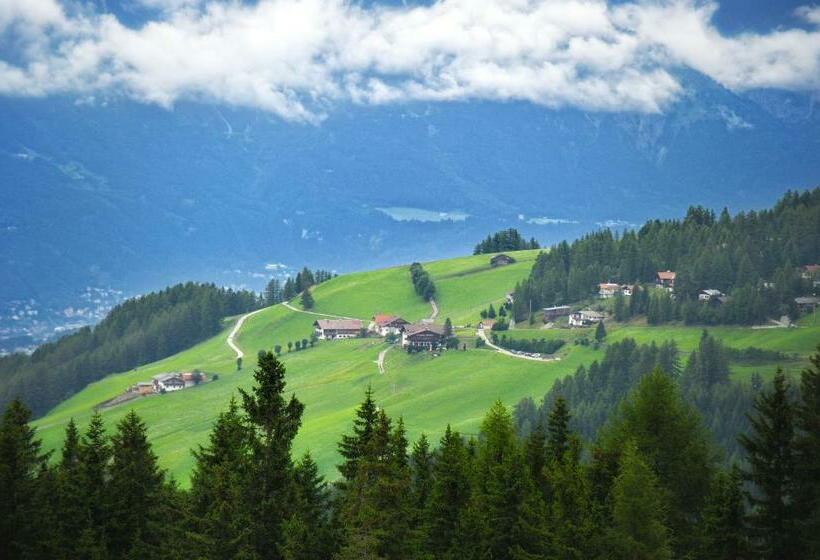 Общежитие Alpengasthaus Gleinserhof