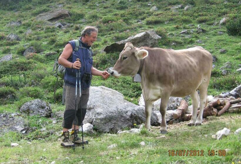Общежитие Alpengasthaus Gleinserhof