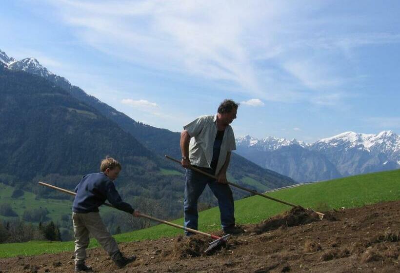 Общежитие Alpengasthaus Gleinserhof