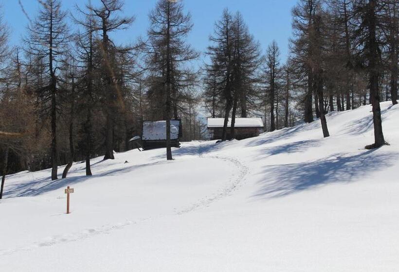 Общежитие Alpengasthaus Gleinserhof