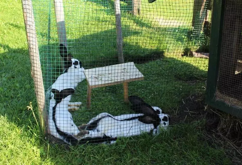 Retkeilymaja Alpengasthaus Gleinserhof