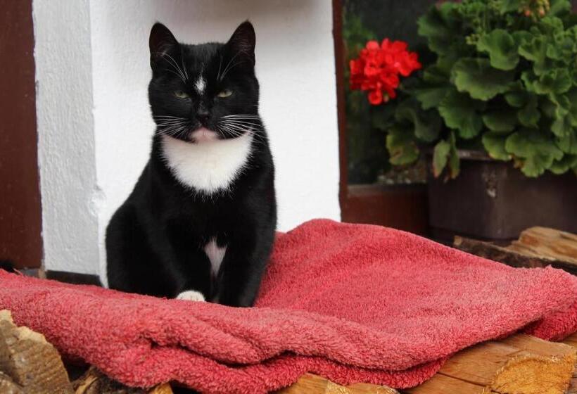 Общежитие Alpengasthaus Gleinserhof