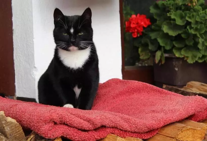 Retkeilymaja Alpengasthaus Gleinserhof