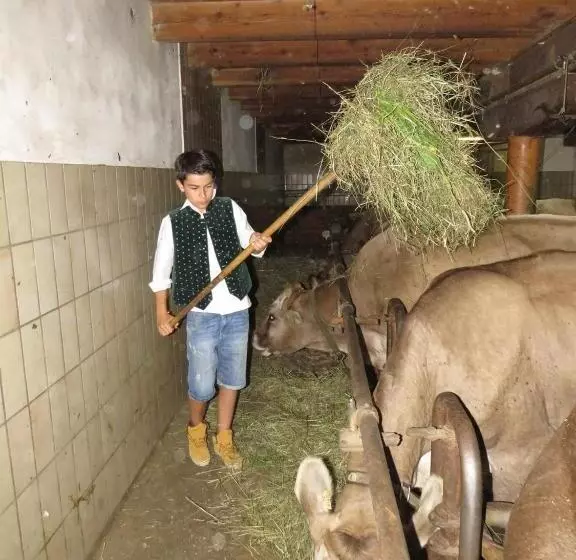 Retkeilymaja Alpengasthaus Gleinserhof