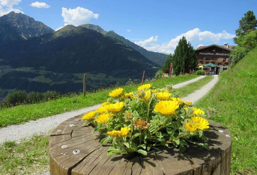 Общежитие Alpengasthaus Gleinserhof