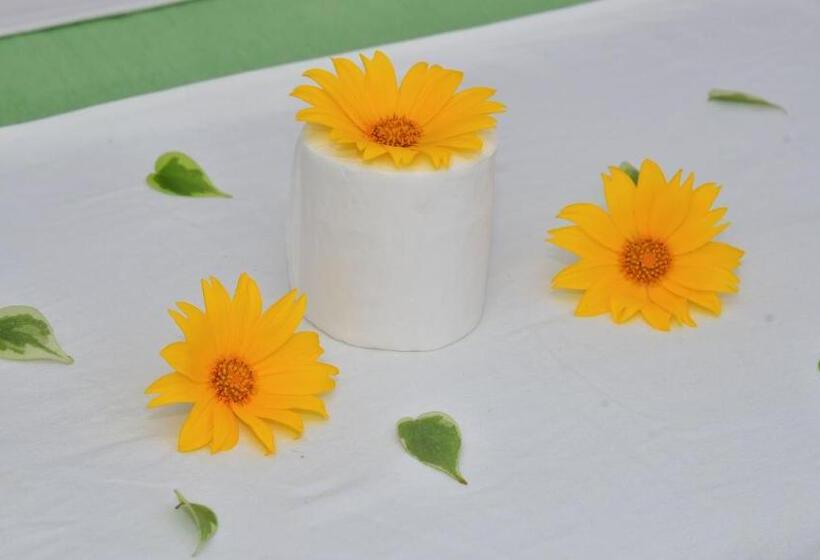 Vandrarhem Sayare Inn