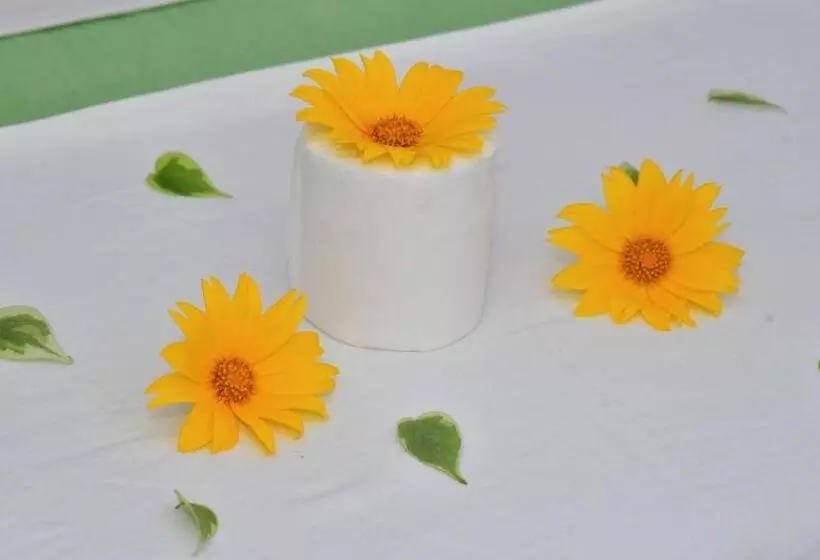 Retkeilymaja Sayare Inn