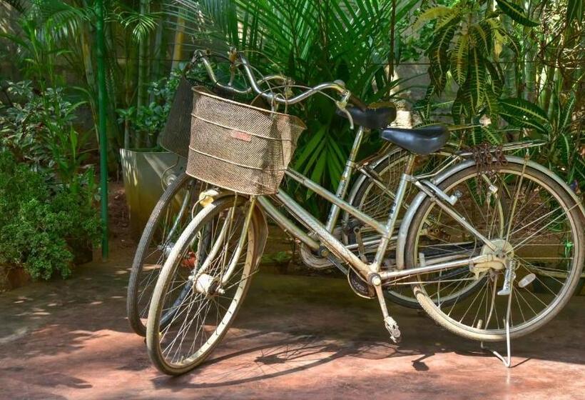 Vandrarhem Sayare Inn