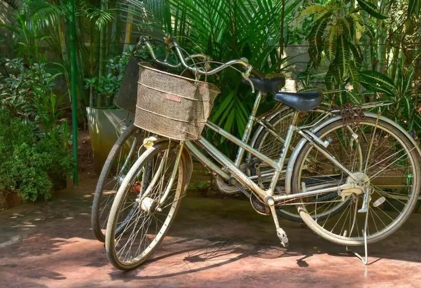 Retkeilymaja Sayare Inn