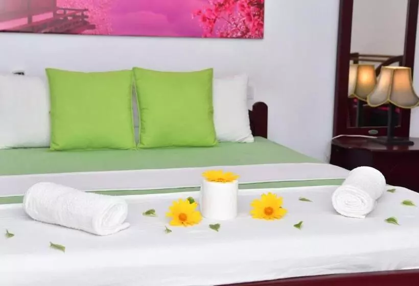 Retkeilymaja Sayare Inn