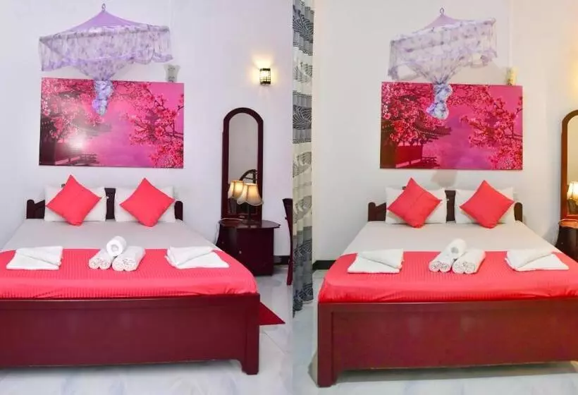 Retkeilymaja Sayare Inn